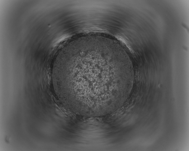 X0000091191063200708231504