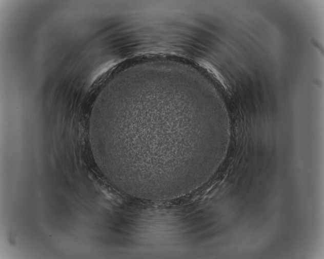 X0000091191064200708231504