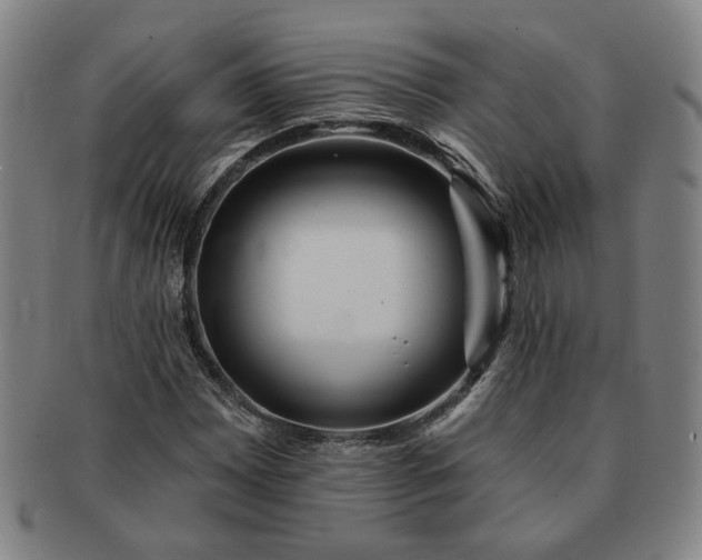 X0000091191065200708231504