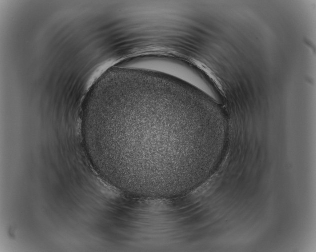 X0000091191066200708231504