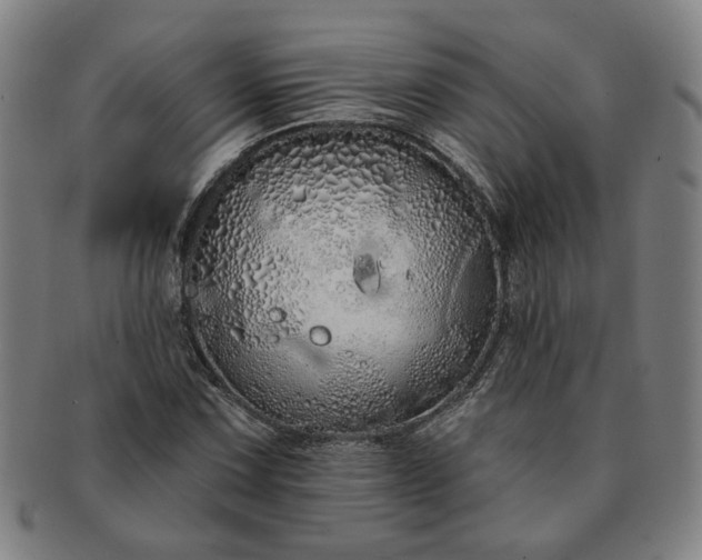 X0000091191067200708231503