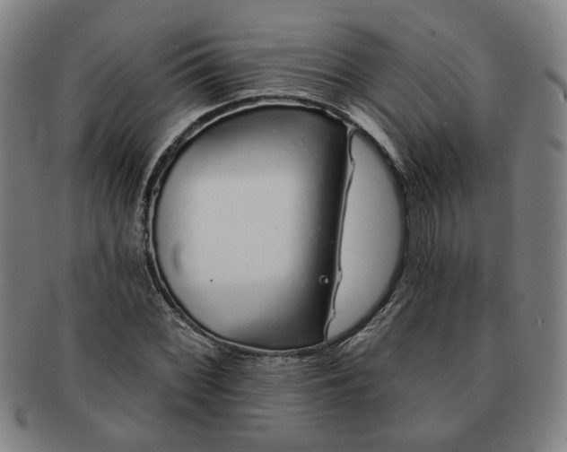 X0000091191068200708231503