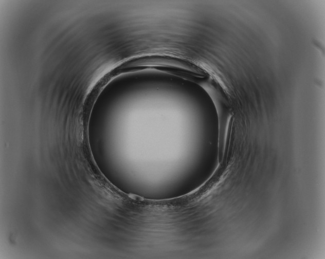 X0000091191069200708231503