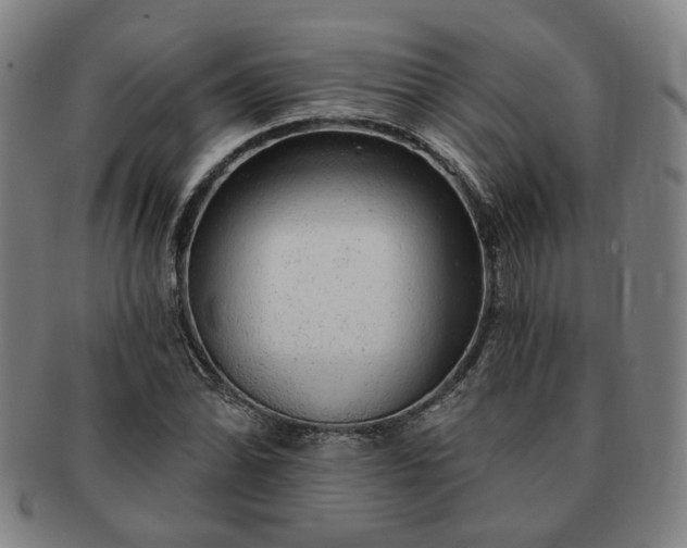 X0000091191070200708231503