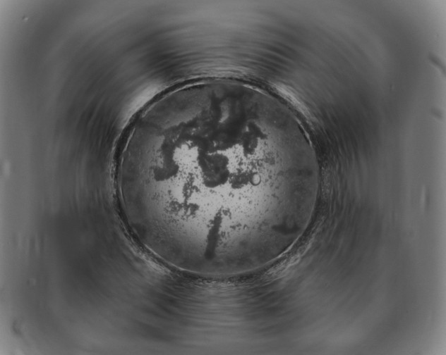 X0000091191071200708231503