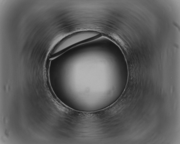 X0000091191072200708231503