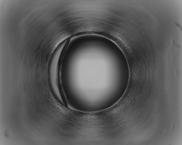 X0000091191073200708231503