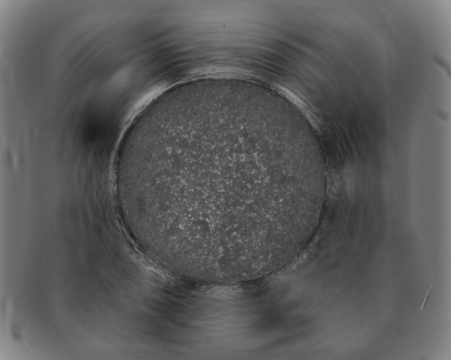 X0000091191074200708231503