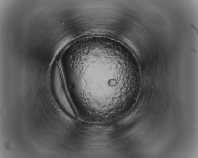 X0000091191075200708231503