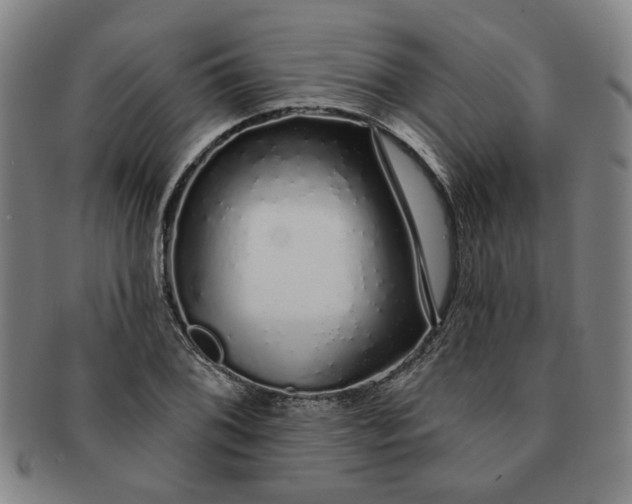 X0000091191076200708231503