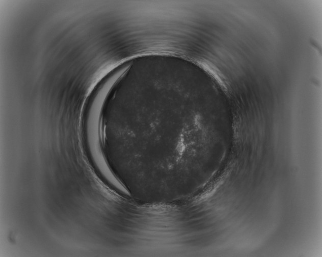 X0000091191077200708231503