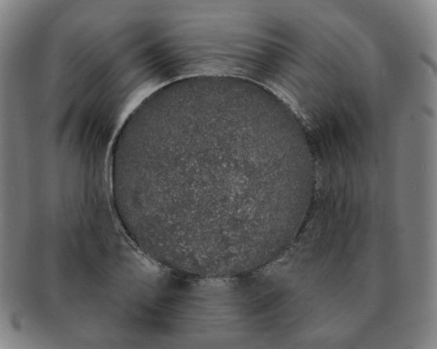 X0000091191078200708231503