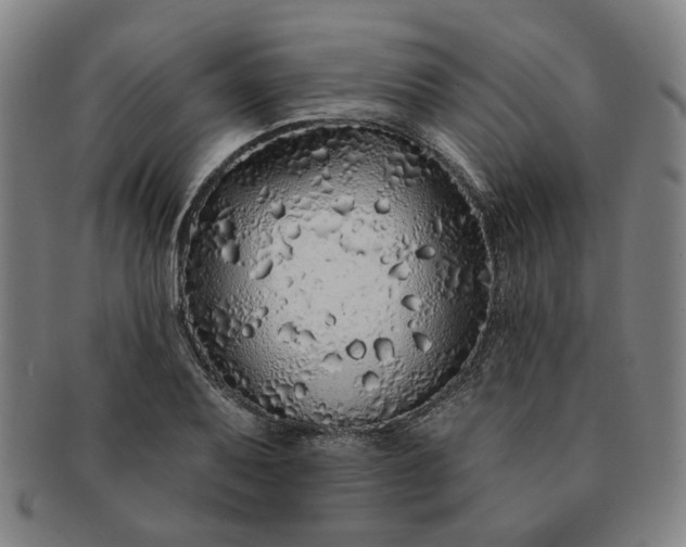 X0000091191079200708231503