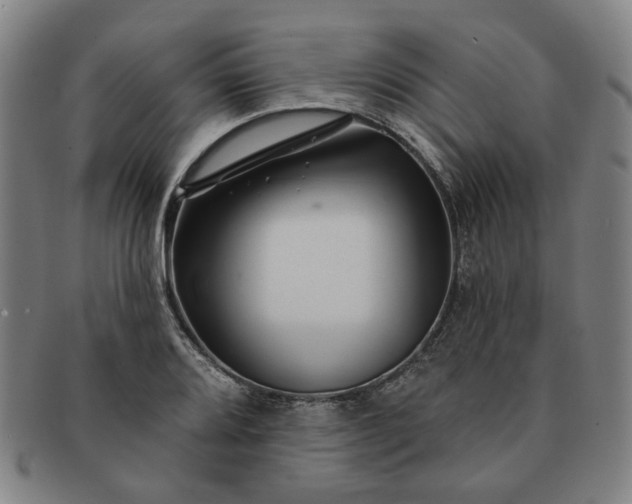 X0000091191080200708231503