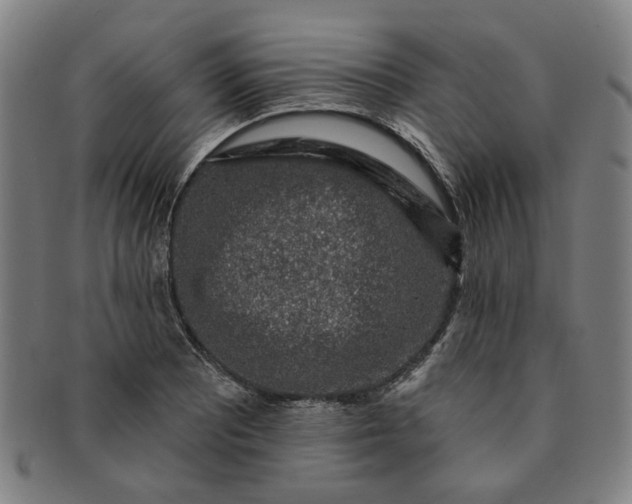 X0000091191081200708231503