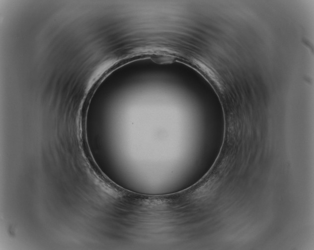 X0000091191082200708231503