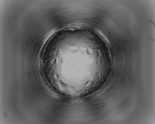 X0000091191083200708231503