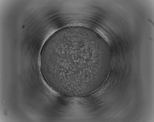 X0000091191084200708231503