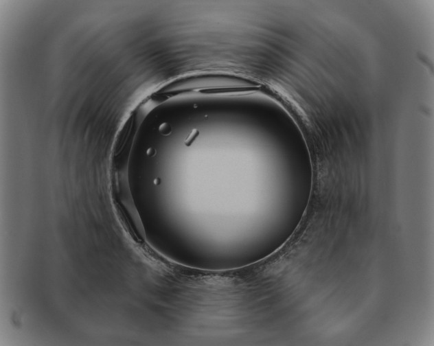 X0000091191085200708231503