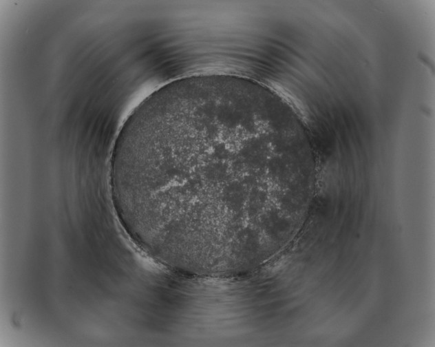 X0000091191086200708231503