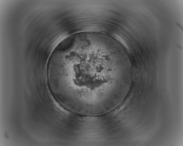 X0000091191087200708231503