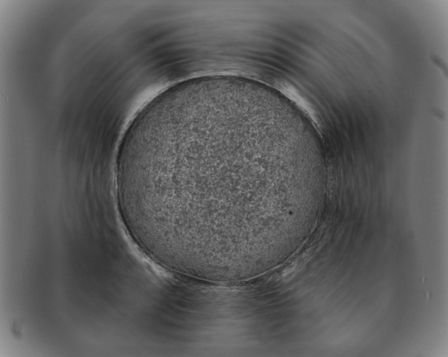 X0000091191088200708231503