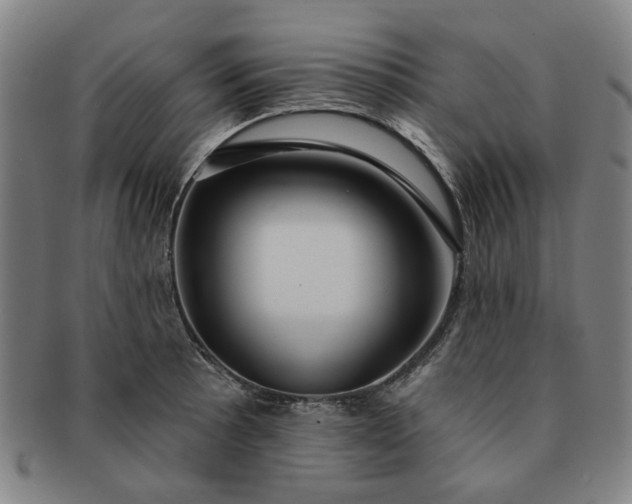 X0000091191089200708231503