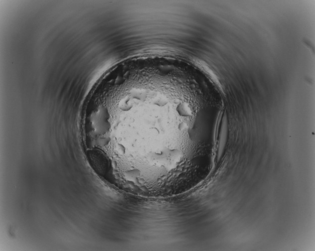 X0000091191091200708231503