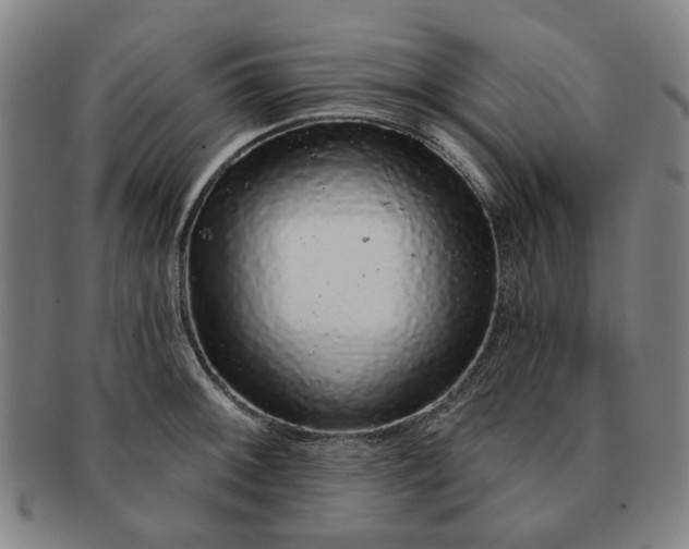 X0000091191092200708231503