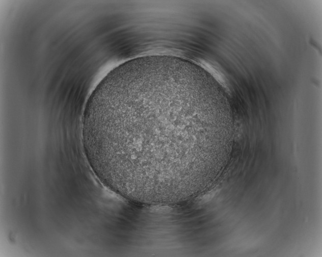 X0000091191094200708231503