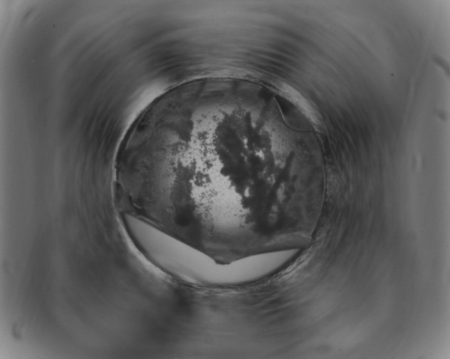 X0000091191095200708231503