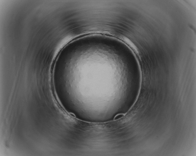 X0000091191096200708231503