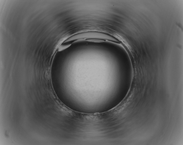 X0000091191097200708231503