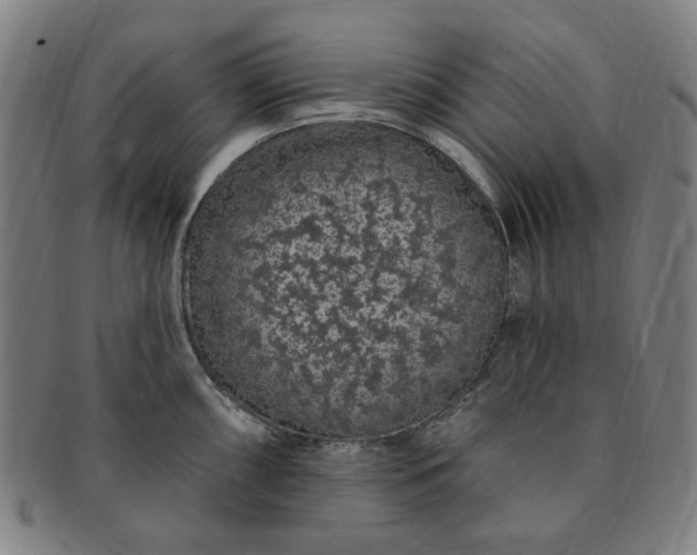 X0000091191098200708231503