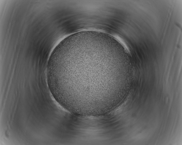 X0000091191100200708231503