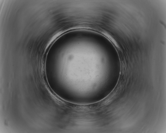 X0000091191101200708231503