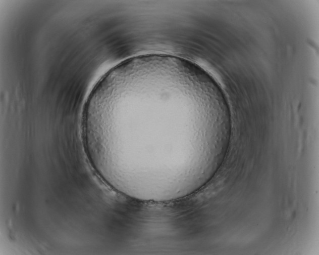 X0000091191104200708231503