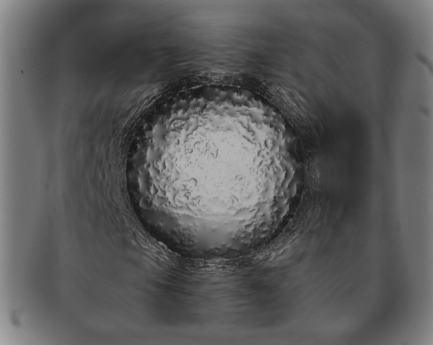 X0000091191105200708231502