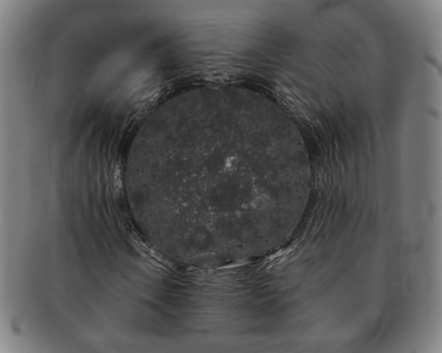 X0000091191106200708231502