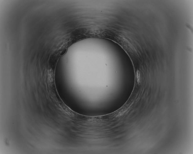 X0000091191107200708231502