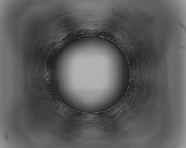 X0000091191109200708231502