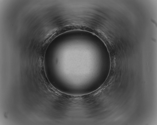 X0000091191110200708231502