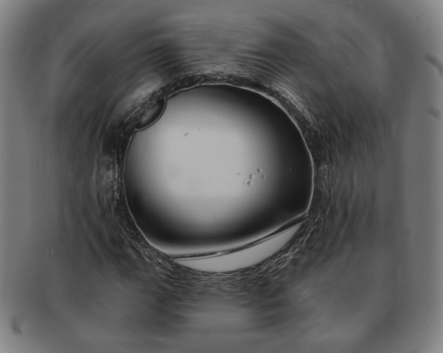 X0000091191111200708231502