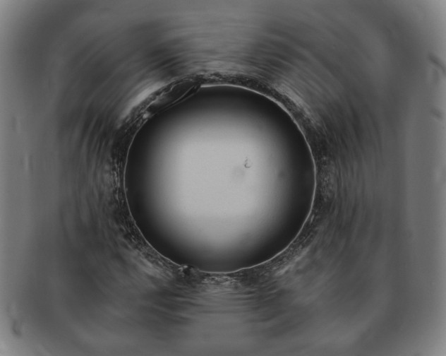 X0000091191112200708231502