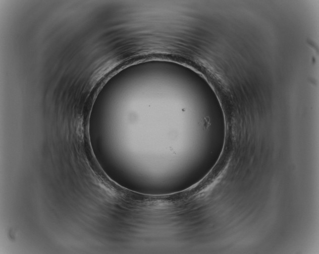 X0000091191113200708231502