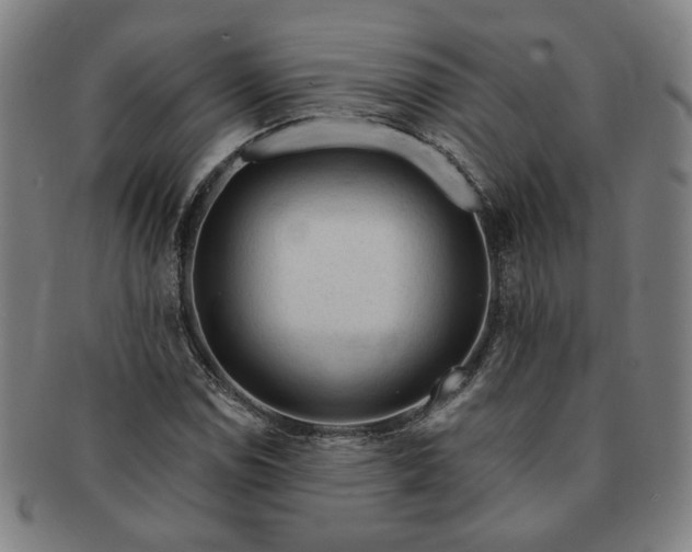 X0000091191114200708231502