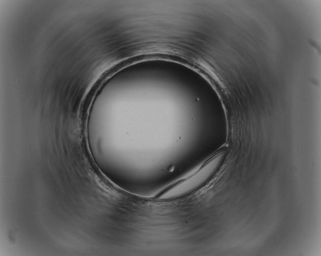 X0000091191116200708231502