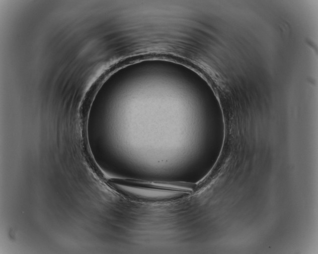 X0000091191118200708231502