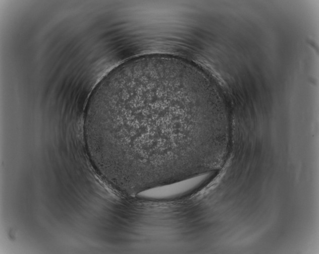 X0000091191121200708231502