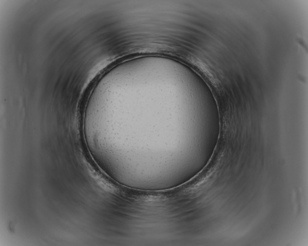 X0000091191122200708231502